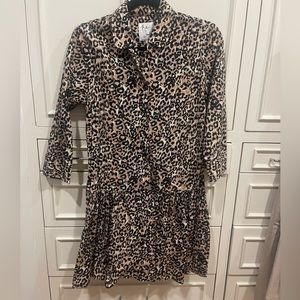 The Shirt by Rochelle Behrens Leopard Print Drop Waist Shirtdress